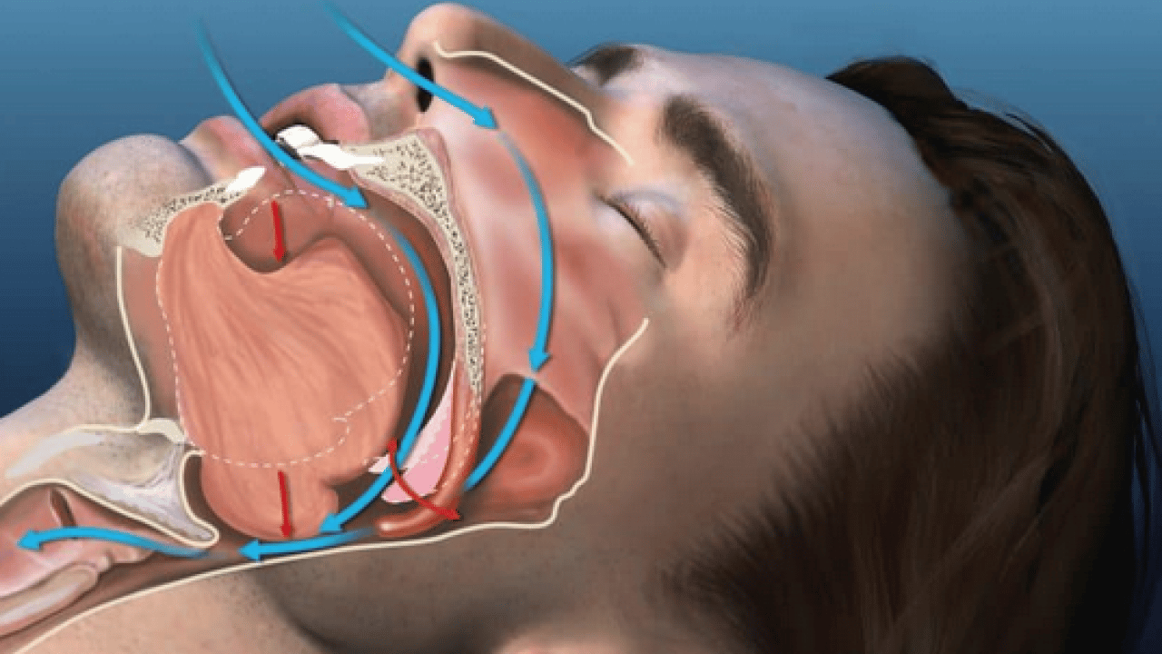 Foto - Horlamayı hafife almayın, kalbinizi koruyun: Organ yenilenme evresi...