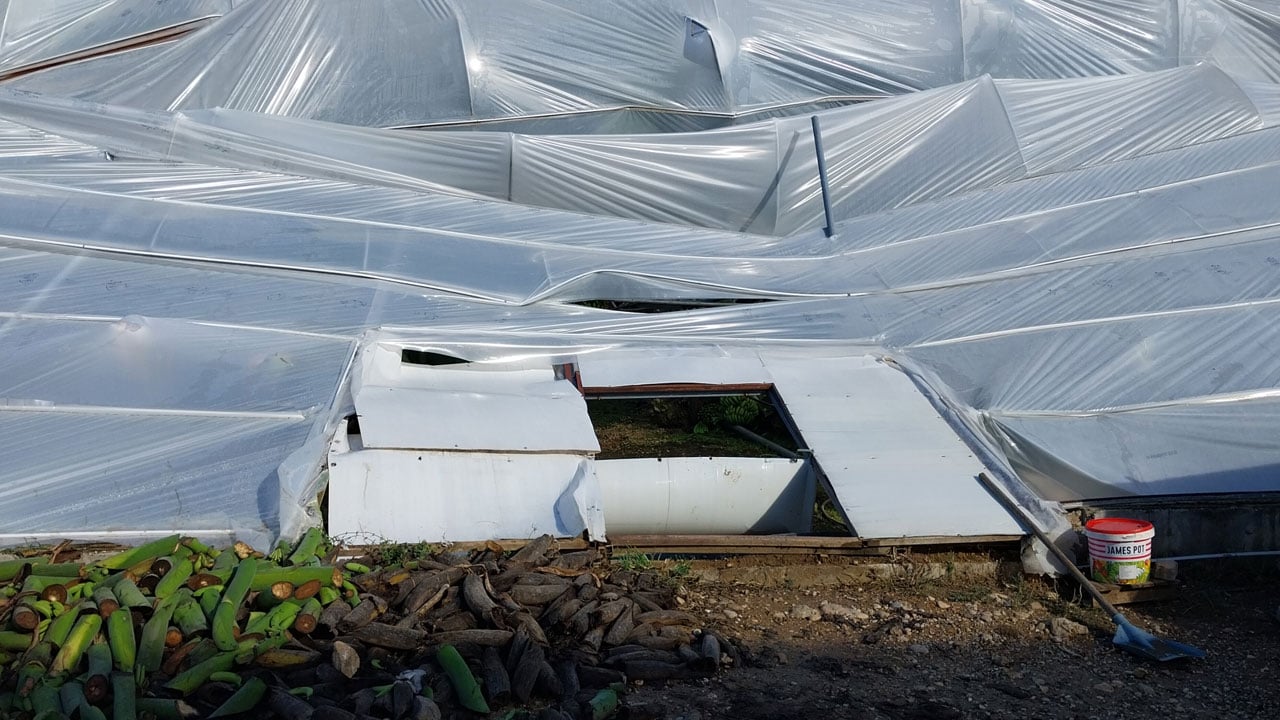 Foto - Hortum felaketi! 40 dönümlük serada 10 milyonu aşan zarar