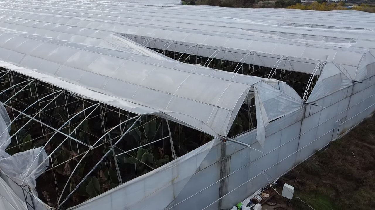 Foto - Hortum felaketi! 40 dönümlük serada 10 milyonu aşan zarar