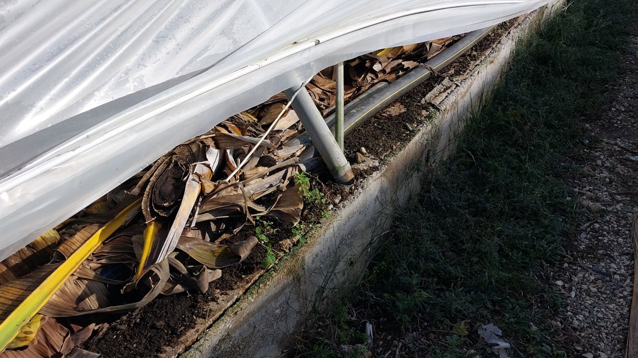 Foto - Hortum felaketi! 40 dönümlük serada 10 milyonu aşan zarar