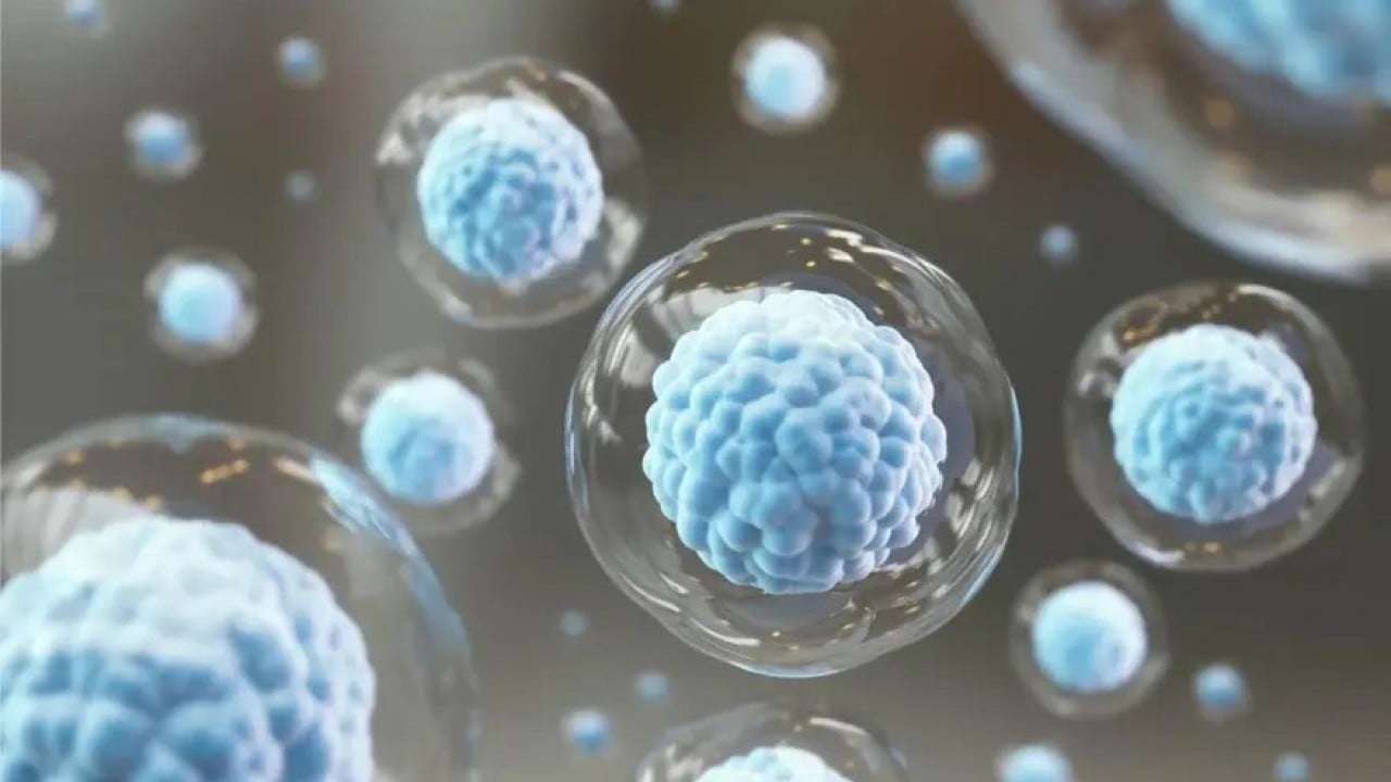 Foto - Hücreler yeniden gençleşiyor: Yaşlanmaya karşı bilimsel umut