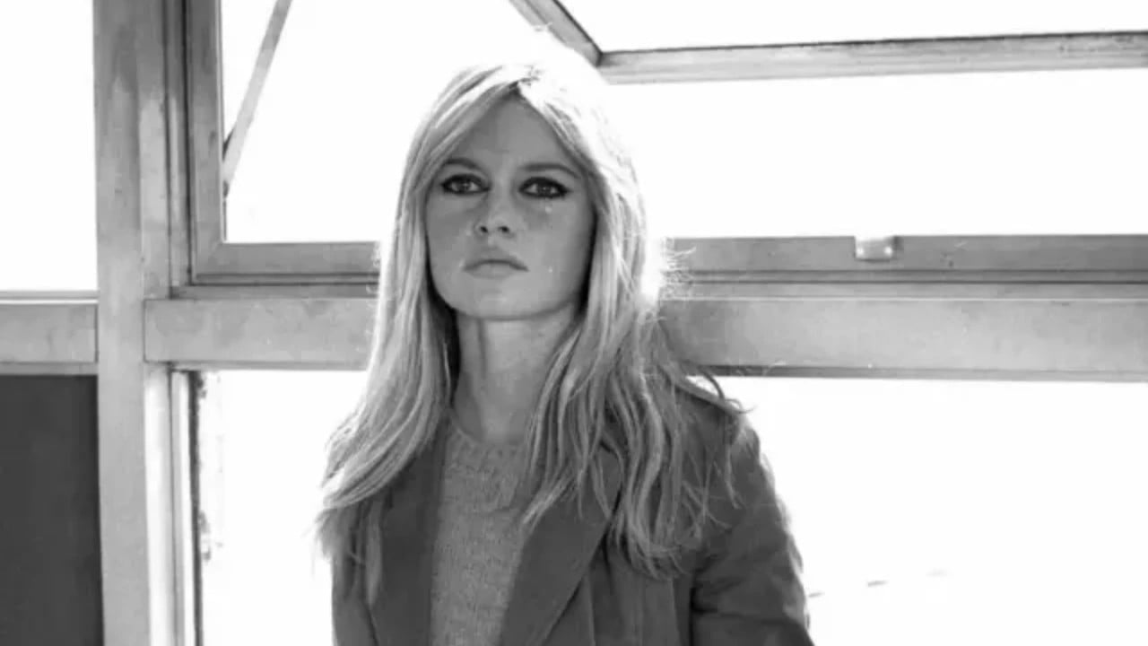 Foto - Hürriyet’te bir yanda Brigette Bardot yalakalığı, bir yanda 'iyi bilmezdim' yazısı