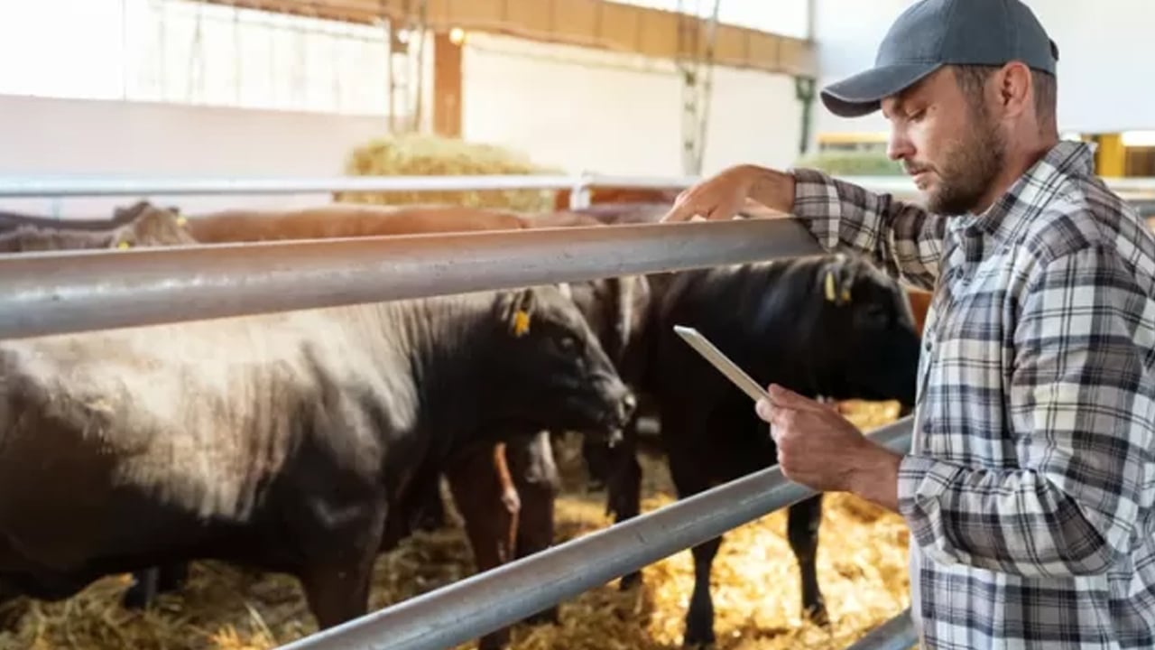 Foto - I-Tech Robotik yerli teknolojiyle hayvancılıkta otomasyonu artırıyor