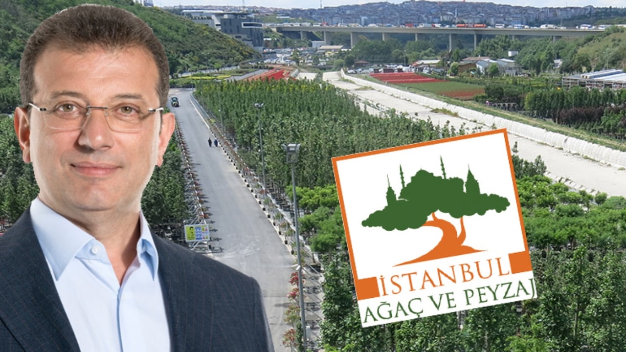 Foto - İBB şirketinde büyük deprem! Ağaç AŞ ile iş yapan isimler bir bir öttü: Alacaklara karşılık yüzde 10 rüşvet baskısı yapmışlar