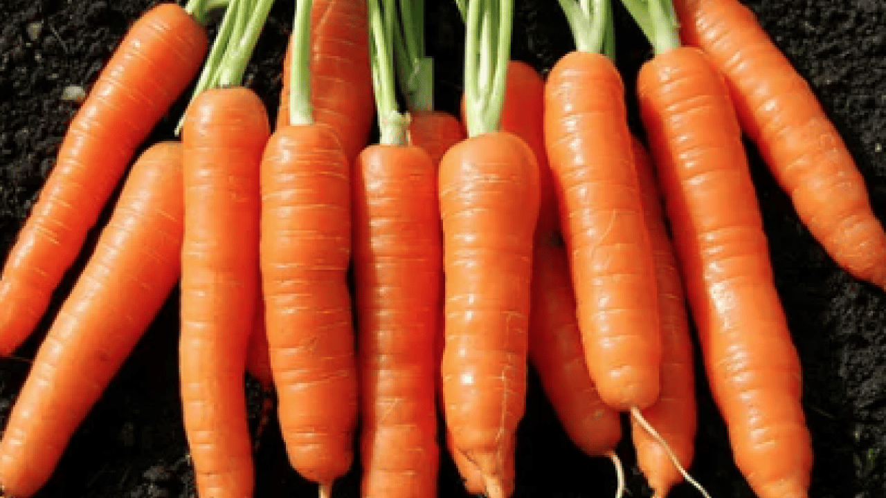 Foto - İbn-i Sina 1000 yıl önce önerdi! Tepsiye koyup sadece 5 dakika ile net sonuçlar alın...