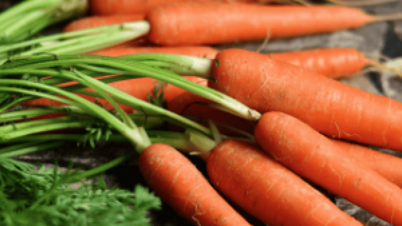 Foto - İbn-i Sina 1000 yıl önce önerdi! Tepsiye koyup sadece 5 dakika ile net sonuçlar alın...