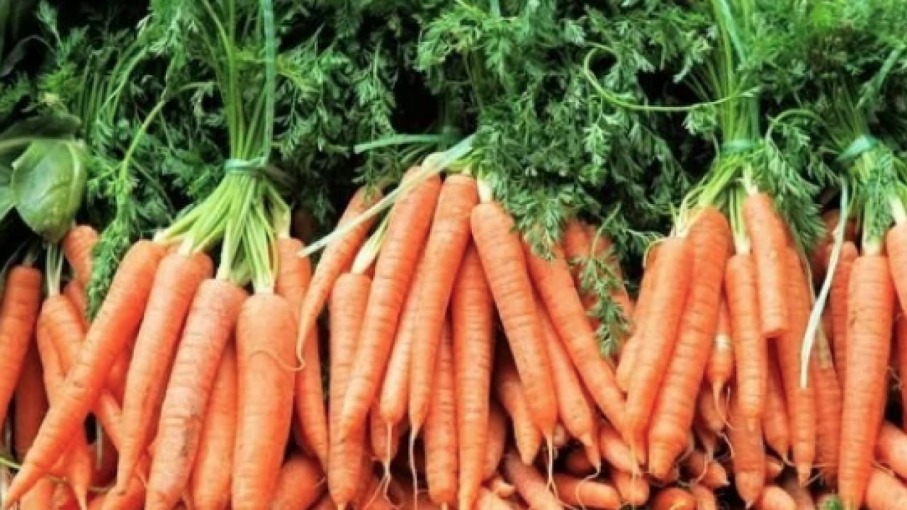 Foto - İbn-i Sina 1000 yıl önce önerdi! Tepsiye koyup sadece 5 dakika ile net sonuçlar alın...