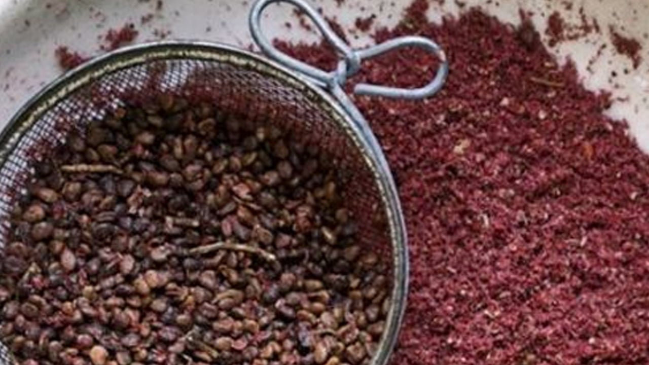 Foto - İbn-i Sina asırlar önce önerdi! İbrahim Saraçoğlu ve Canan Karatay'ın da favorisi: Karaciğeri tertemiz yapıyor! 