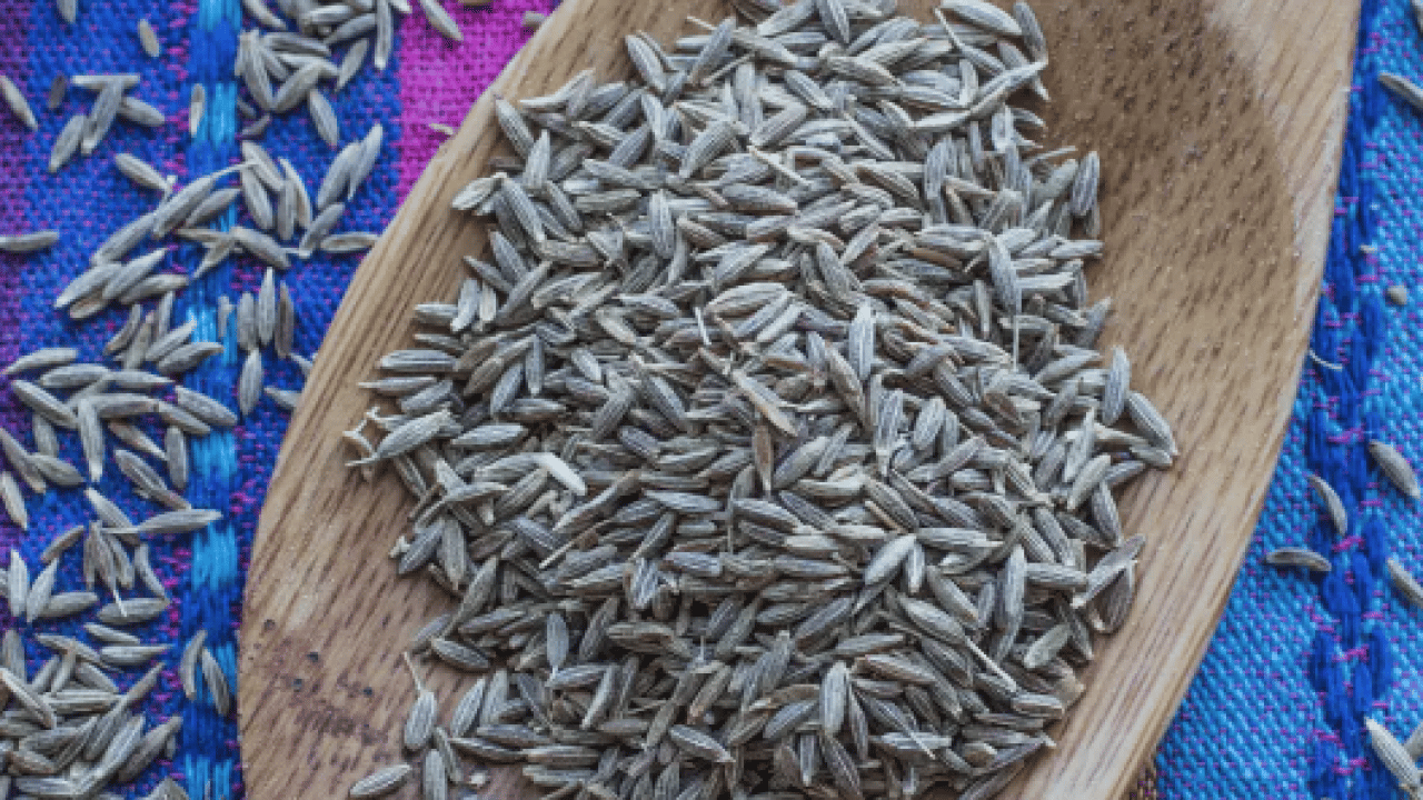 Foto - İbn-i Sina öneriyor! Akciğerlerin doğal süpürgesi: Doğal öksürük şurubu meğer bu baharatmış! 