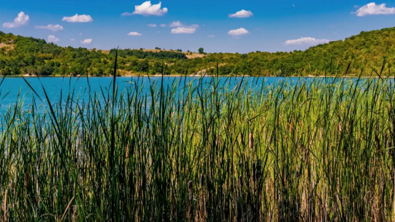 Foto - İbn-i Sina yüzyıllar önce uyardı! Doğru kullanılırsa şifa, kucağa kaçarsa fena...