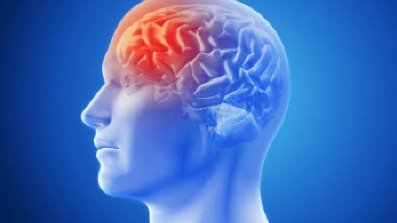 Foto - İbn-i Sina'dan bin yıllık doğal öneriler! Hangi duygu hangi organa zarar veriyor? 