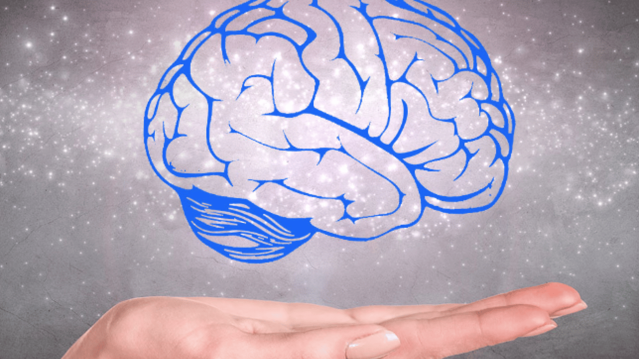 Foto - İbn-i Sina'dan bin yıllık doğal öneriler! Hangi duygu hangi organa zarar veriyor? 