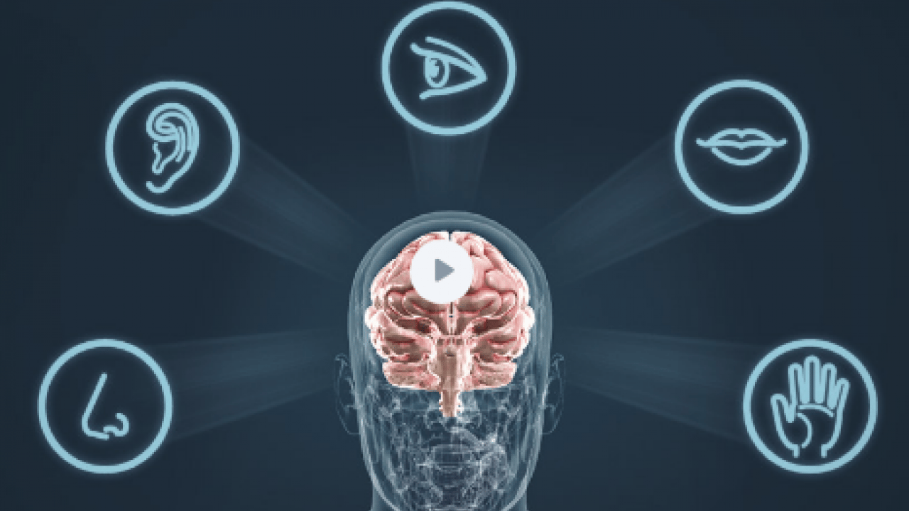 Foto - İbn-i Sina'dan bin yıllık doğal öneriler! Hangi duygu hangi organa zarar veriyor? 