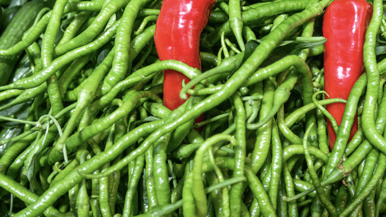 Foto - İbn-i Sina'nın 1000 yıllık tarifi: Öksürük acı biberle geçecek... Evde öksürüğü ne keser? Çözümü mümkün mü? 