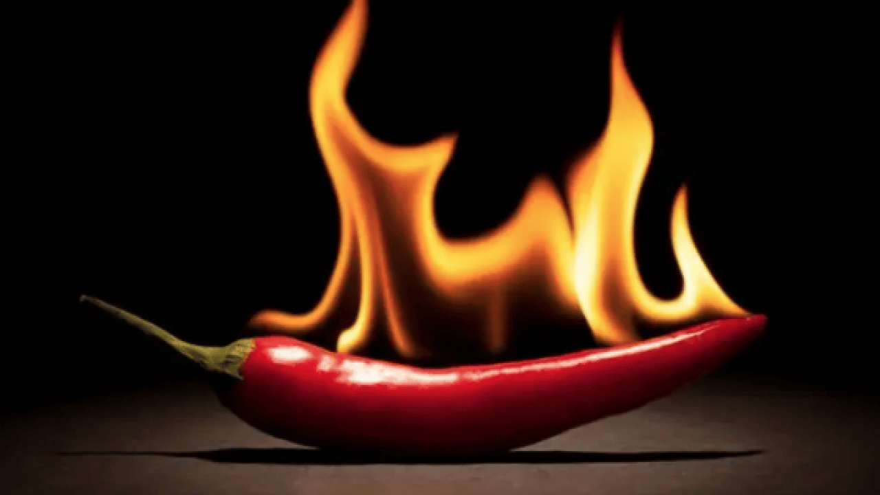 İbn-i Sina'nın 1000 yıllık tarifi: Öksürük acı biberle geçecek... Evde öksürüğü ne keser? Çözümü mümkün mü? 