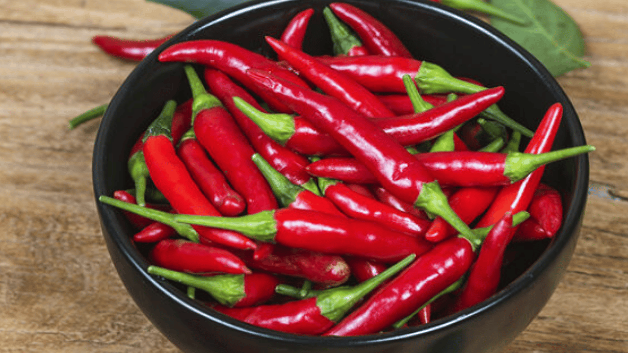 Foto - İbn-i Sina'nın 1000 yıllık tarifi: Öksürük acı biberle geçecek... Evde öksürüğü ne keser? Çözümü mümkün mü? 