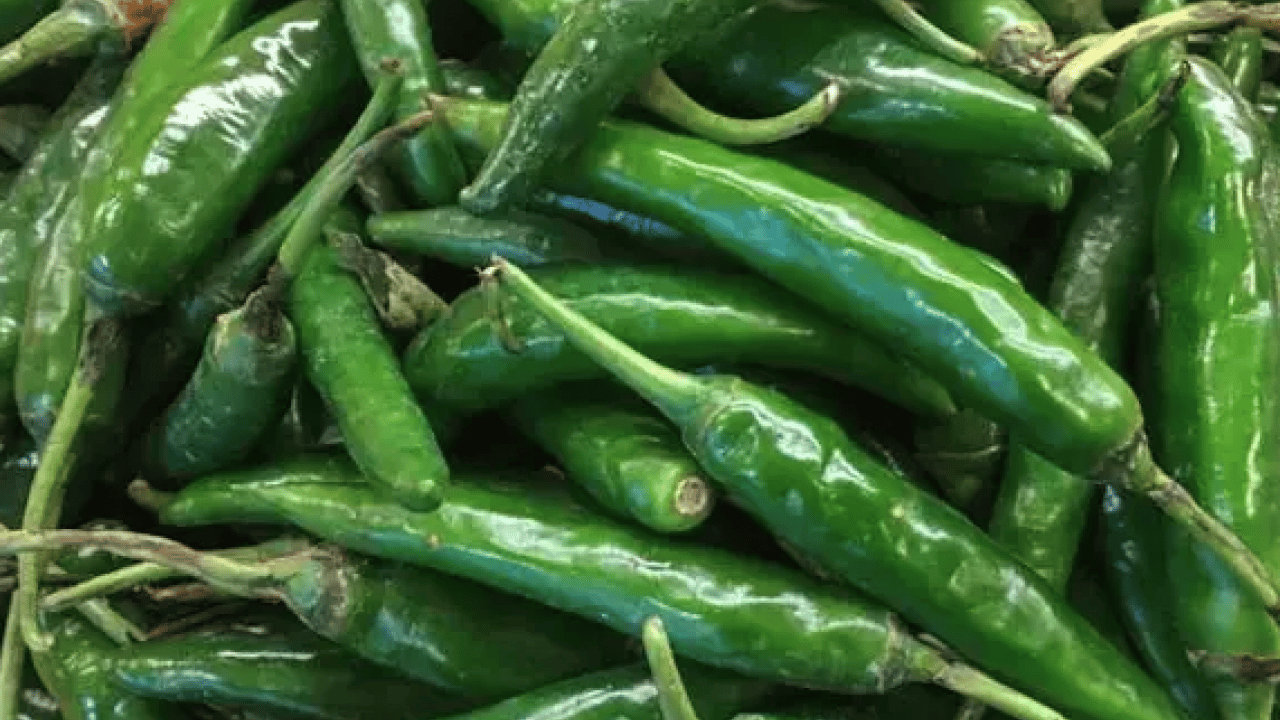 Foto - İbn-i Sina'nın 1000 yıllık tarifi: Öksürük acı biberle geçecek... Evde öksürüğü ne keser? Çözümü mümkün mü? 