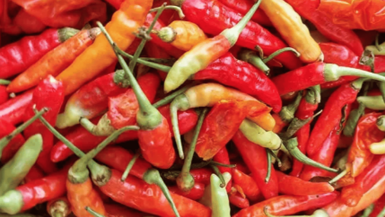 Foto - İbn-i Sina'nın 1000 yıllık tarifi: Öksürük acı biberle geçecek... Evde öksürüğü ne keser? Çözümü mümkün mü? 