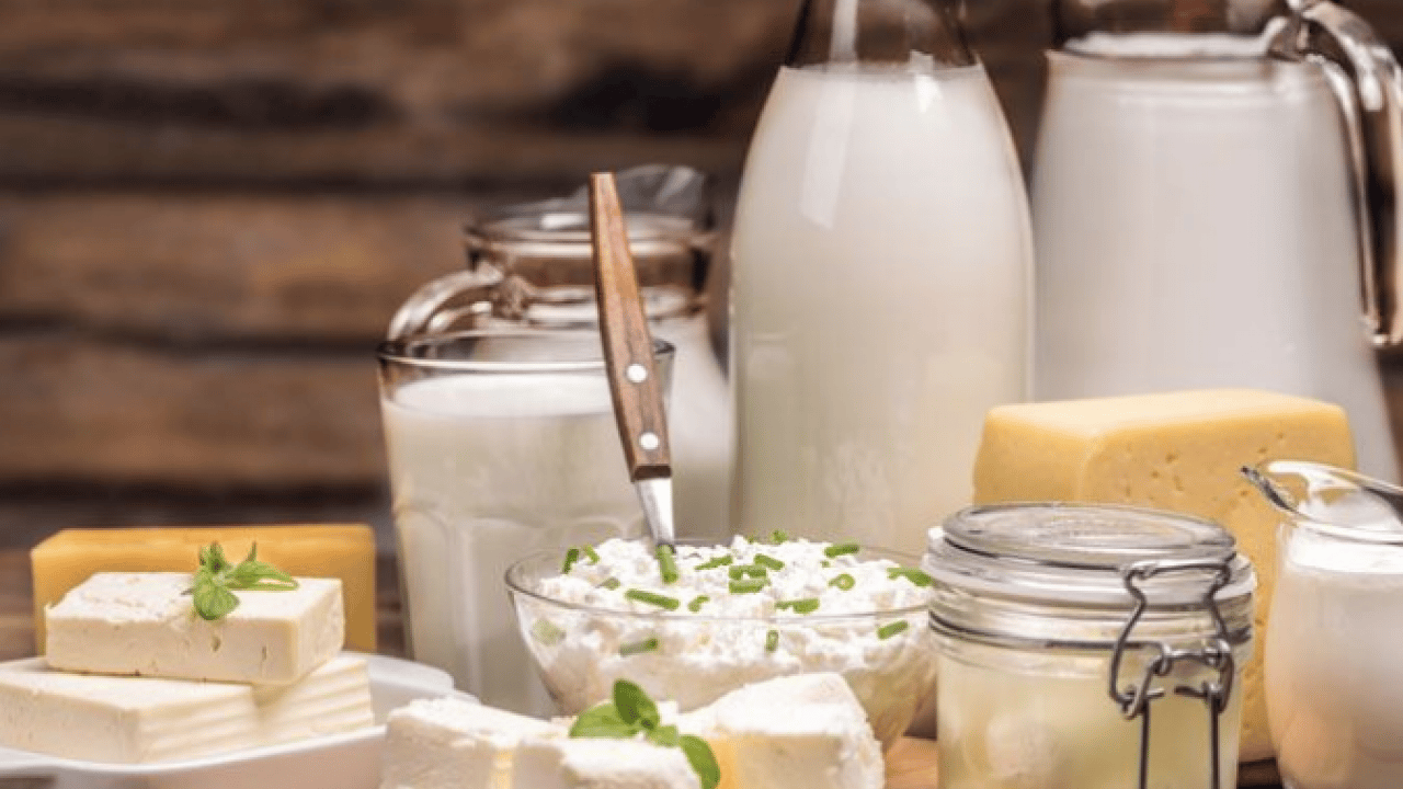 Foto - İbn-i Sina'nın bin yıl önce hazırladığı sağlık reçetesi ortaya çıktı! O reçete: Mutlaka bunları yapın! Sağlığınızı koruyun