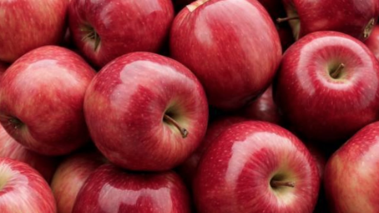 Foto - İbn-i Sina'nın bin yıl önce hazırladığı sağlık reçetesi ortaya çıktı! O reçete: Mutlaka bunları yapın! Sağlığınızı koruyun