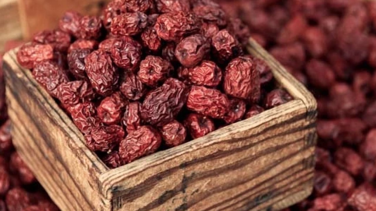 Foto - İbn-i Sina'nın bin yıl önce hazırladığı sağlık reçetesi ortaya çıktı! O reçete: Mutlaka bunları yapın! Sağlığınızı koruyun