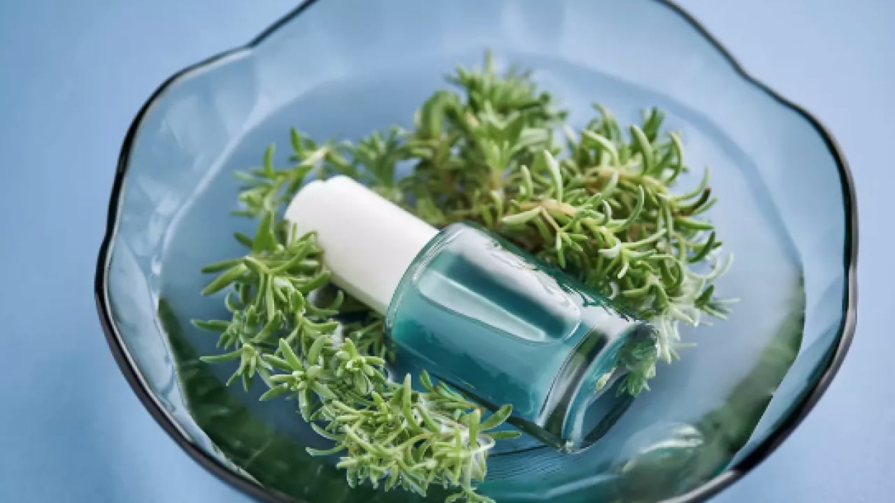 Foto - İbn-i Sina'nın siğillere formülü: Ne kurt bırakıyor ne mikrop! Siğillere karşı önerdiği bitki! 