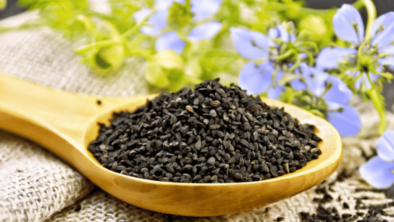 Foto - İbn-i Sina'nın çörek otu: Dolabının baş köşesinde duruyor! 1000 yıllık şifa kitabında yazdı! 