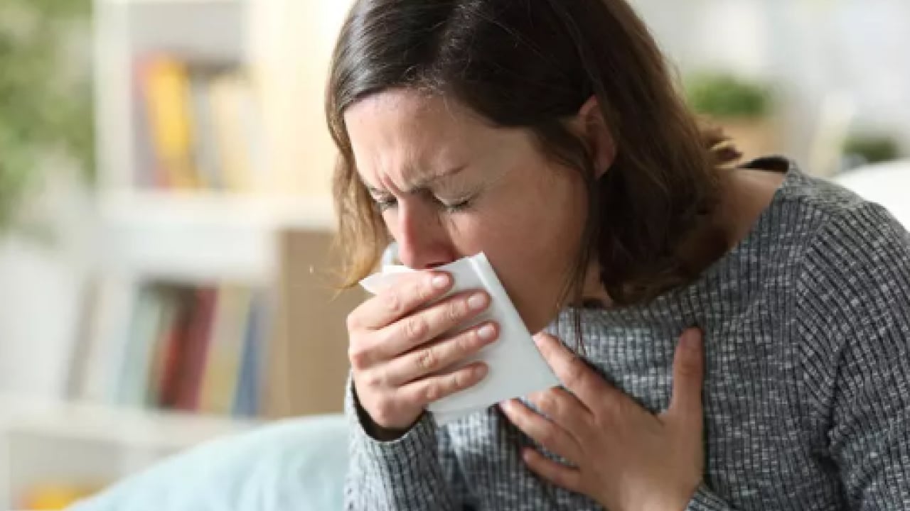 Foto - İbn_i Sina'nın tarifi: İşte öksürüğü anında kesen muhteşem 3'lü