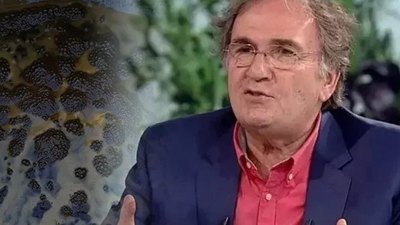 Foto - İbrahim Saraçoğlu inciri işaret etti, ezberleri bozdu... Eğer incir yerseniz... İncirin faydaları nelerdir?