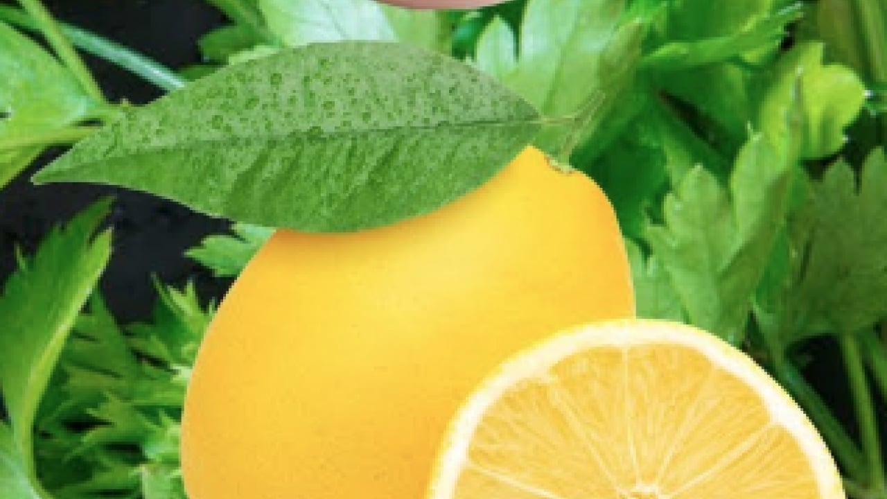 Foto - İbrahim Saraçoğlu öneriyor: Damar sağlığı için ezber bozan öneri... Süpürge gibi süpürüyor