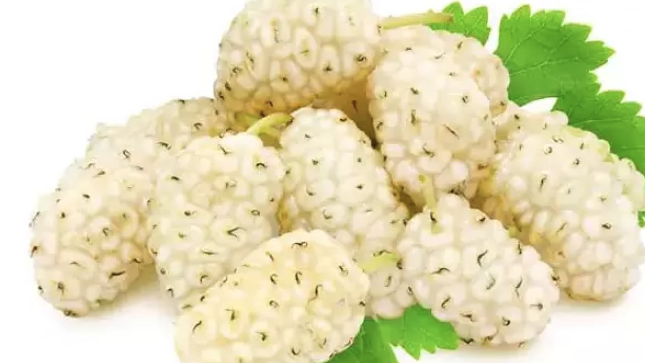 Foto - İbrahim Saraçoğlu: Osmanlı padişahları bile kullanıyordu! Etkili oluyor