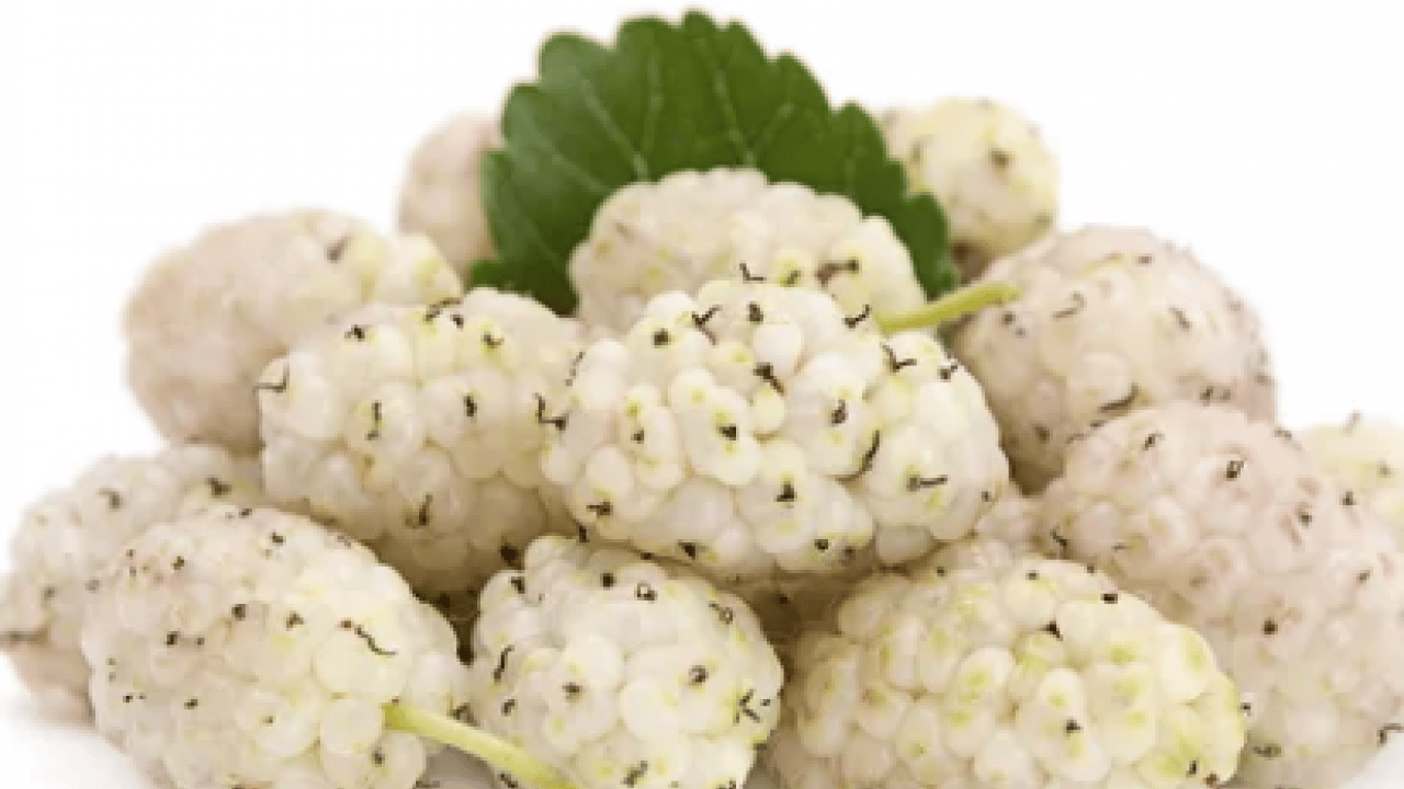 İbrahim Saraçoğlu: Osmanlı padişahları bile kullanıyordu! Etkili oluyor