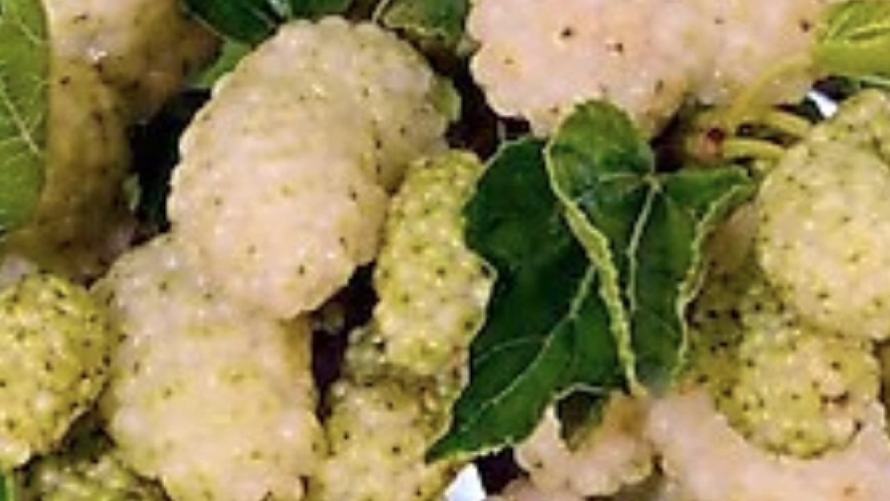 Foto - İbrahim Saraçoğlu: Osmanlı padişahları bile kullanıyordu! Etkili oluyor