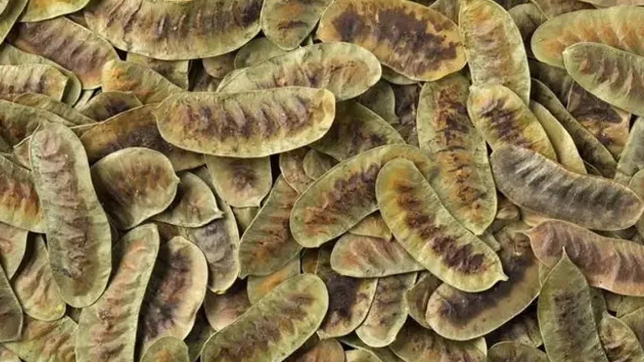 Foto - İbrahim Saraçoğlu'ndan bağırsak çalıştıran çay tarifi! Diyet yapmadan zahmetsizce kilo verdiriyor! Sağlıkta en doğru yöntem