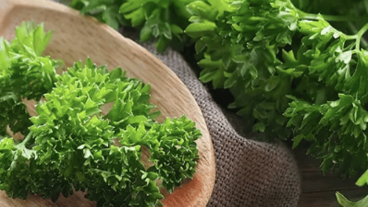 Foto - İbrahim Saraçoğlu'ndan tıkalı damarlara çözüm kürü: Sadece 2 malzemeyle yok ediyor!