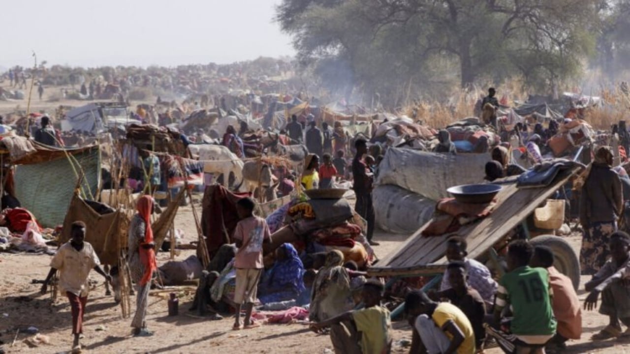 Foto - İç savaşın yaşandığı Müslüman ülkeden kan donduran katliam görüntüleri! Cesetleri yan yana dizdiler