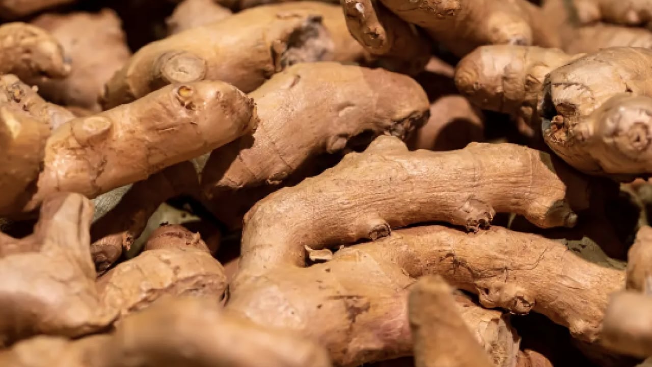 Foto - İçerdiği gingerol sayesinde... Günde bir dilim zencefil tüketirseniz ne olur?