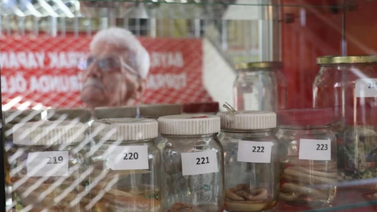 Foto - İçinden çıkanı görünce inanamadı! Yerde bulduğu yumurta hayatını değiştirdi