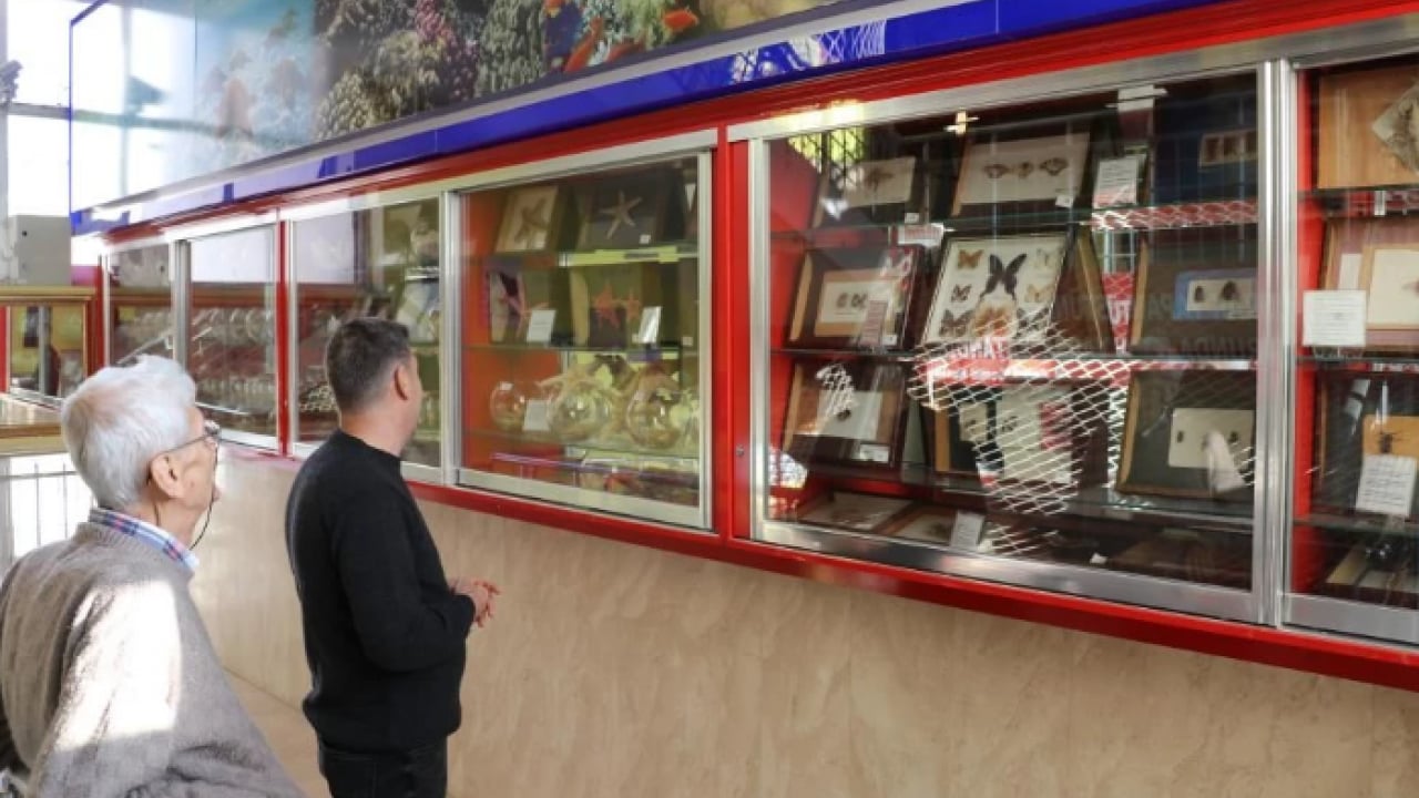 Foto - İçinden çıkanı görünce inanamadı! Yerde bulduğu yumurta hayatını değiştirdi