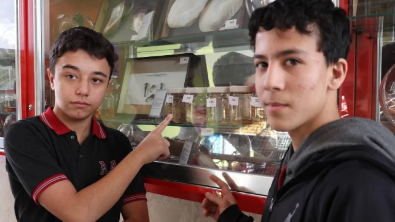 İçinden çıkanı görünce inanamadı! Yerde bulduğu yumurta hayatını değiştirdi