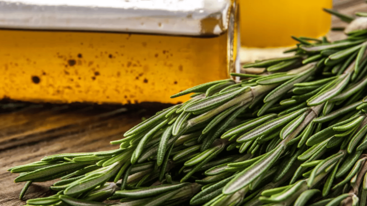 Foto - İçine 2 dal atın yeter: İşte ağrıları geçiren ikili!