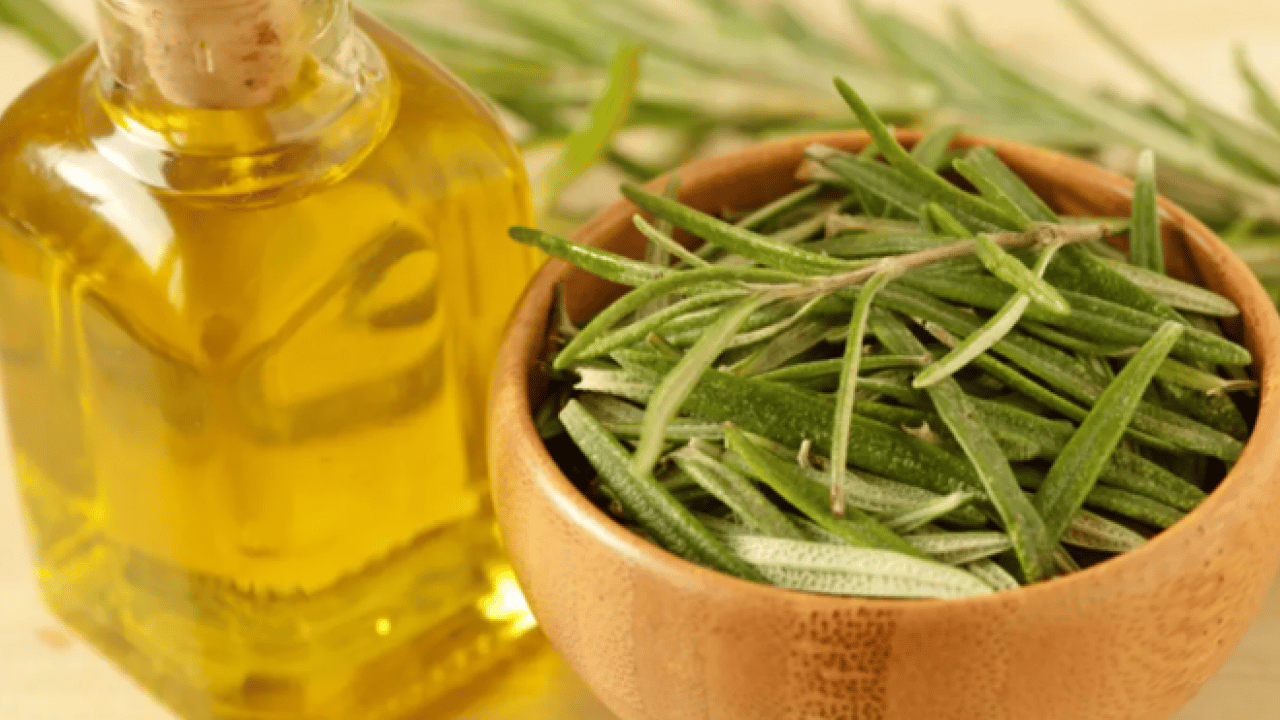 Foto - İçine 2 dal atın yeter: İşte ağrıları geçiren ikili!