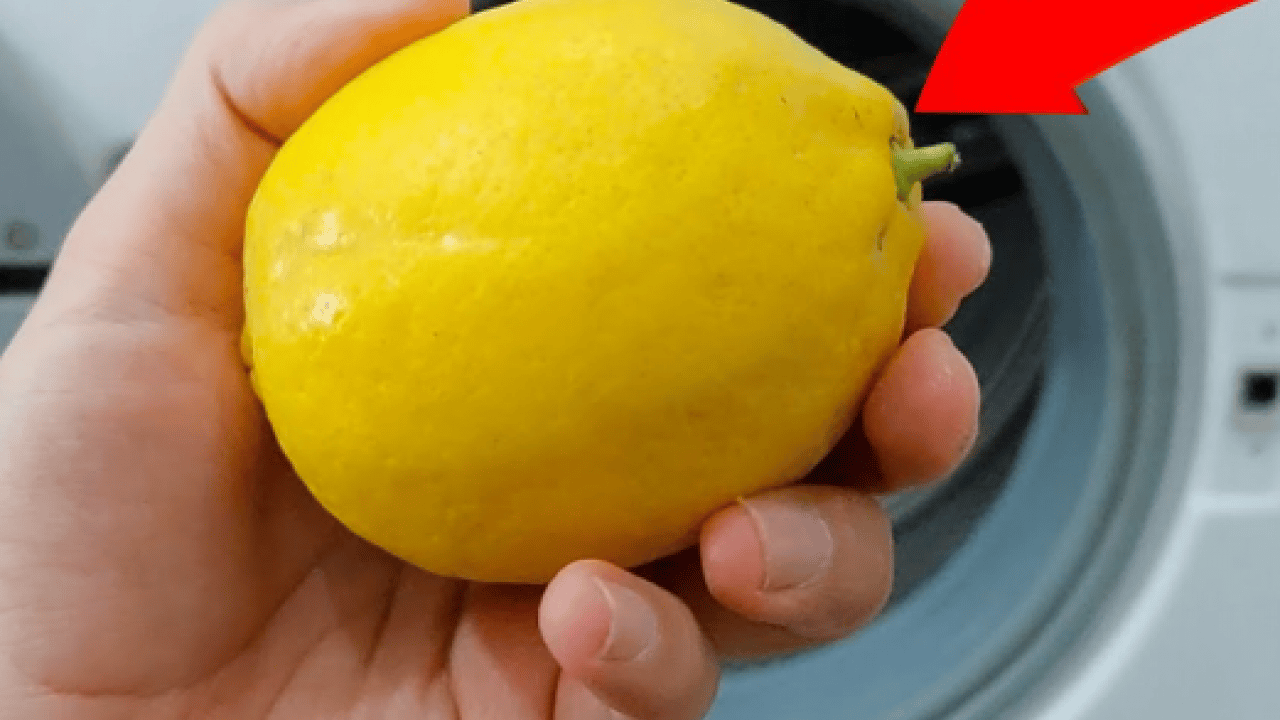 Foto - Pahalı temizlik malzemelerine para vermeyin! İçine bir adet koyun yeter!