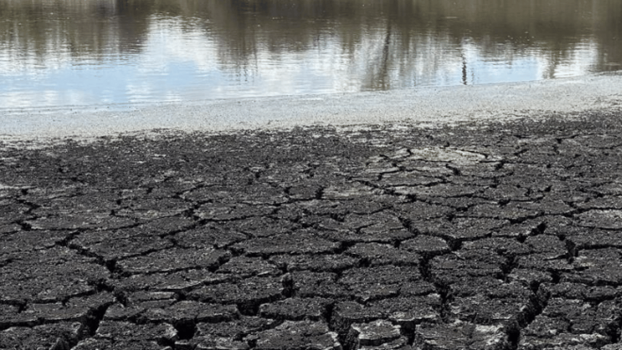 İçlerinde Türkiye’de var! Onlarca ülke için tehlike çanları çalıyor