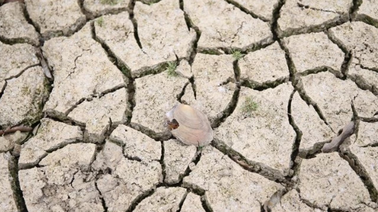 Foto - İçlerinde Türkiye’de var! Onlarca ülke için tehlike çanları çalıyor