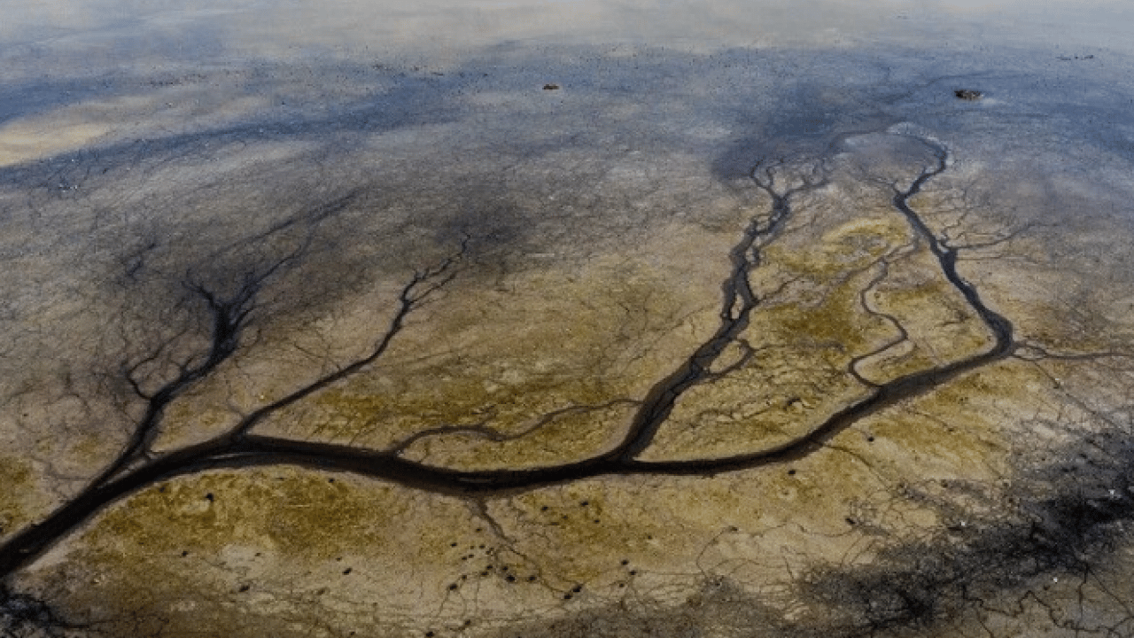 Foto - İçlerinde Türkiye’de var! Onlarca ülke için tehlike çanları çalıyor