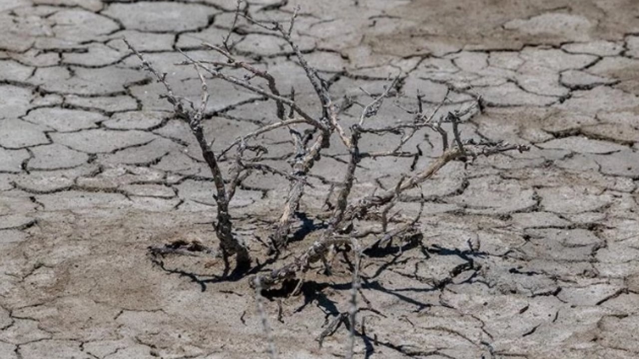 Foto - İçlerinde Türkiye’de var! Onlarca ülke için tehlike çanları çalıyor