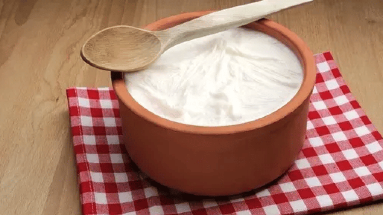 Foto - İdeal süt ısısı: Kaşığı döndürseniz de düşmüyor! İşte taş gibi yoğurt mayalamanın 40 yıllık sırrı