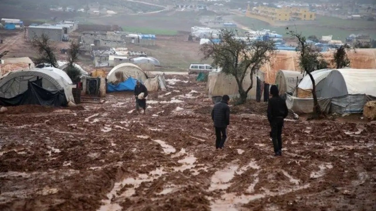 Foto - İdlip'te kar altında yaşam savaşı