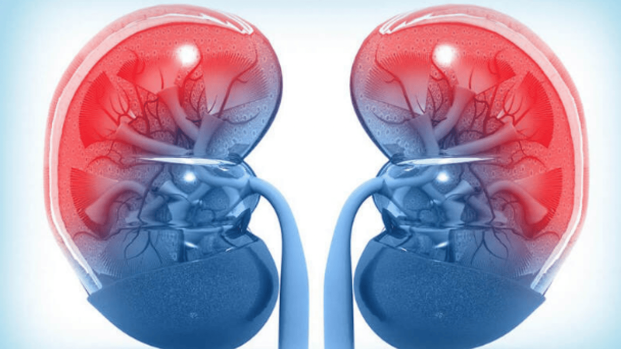 Foto - İftarıyla ve sahuruyla bu mübarek ay için böbrek sağlığı hakkında öyle bilgiler verdi ki...